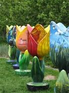 TULIPS TULIPS