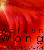 WWLD_LOGO_SQ_TULIP WWLD_LOGO_SQ_TULIP