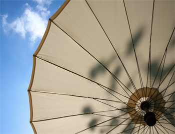 Umbrella Umbrella
